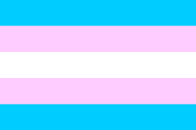 Trans gender flag further affirms our commitment that all are welcome
